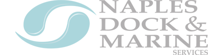 NDM - Watermark Logo - update